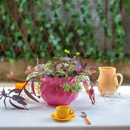 Διαμέρισμα Denis *